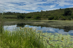 Fishermans Cottage - 4