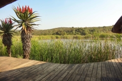 LEADWOOD-COTTAGES-5-scaled