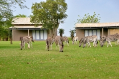 PAPERBARK-LODGE-32-scaled