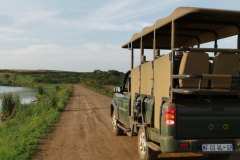 Tala Game Reserve Activites - 2