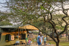 Tala Game Reserve - Camp Site Accommodation - 6