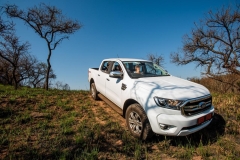 WhatsApp-Image-2026-02-12-at-18.04.15