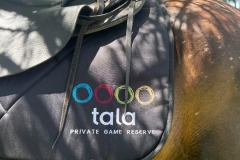 WhatsApp-Image-2026-02-12-at-18.04.25