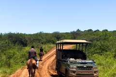 WhatsApp-Image-2026-02-12-at-18.04.26-1