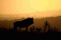 WhatsApp-Image-2026-02-12-at-18.04.39-1