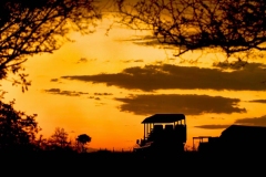 WhatsApp-Image-2026-02-12-at-18.04.40