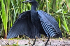 WhatsApp-Image-2026-02-12-at-18.04.41-1