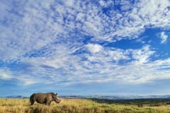 WhatsApp-Image-2026-02-12-at-18.04.43