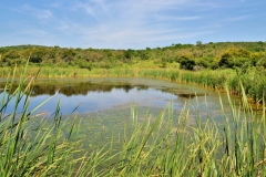 LEADWOOD-COTTAGES-20-scaled
