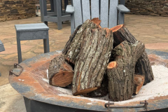 Paperbark  and ARC - 11